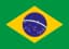 Brazilian Flag